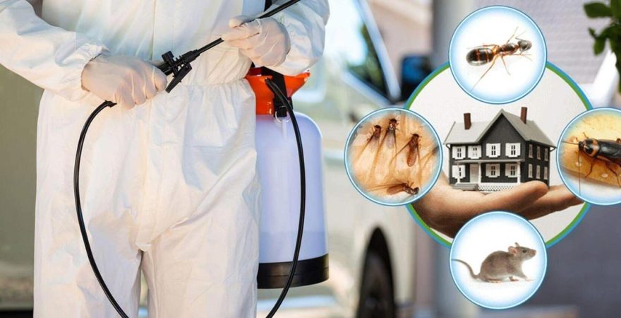 Hatundere Böcek İlaçlama