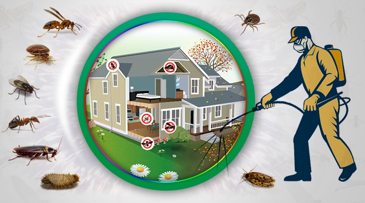 Hatundere Böcek İlaçlama