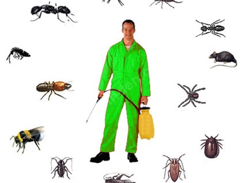 Hatundere Böcek İlaçlama