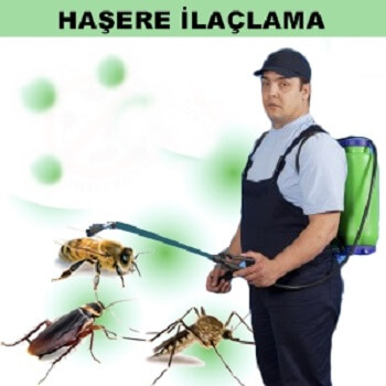 Hatundere Böcek İlaçlama